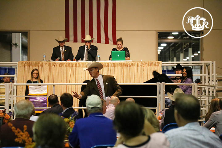 Junior Auction of Champions Sets Records