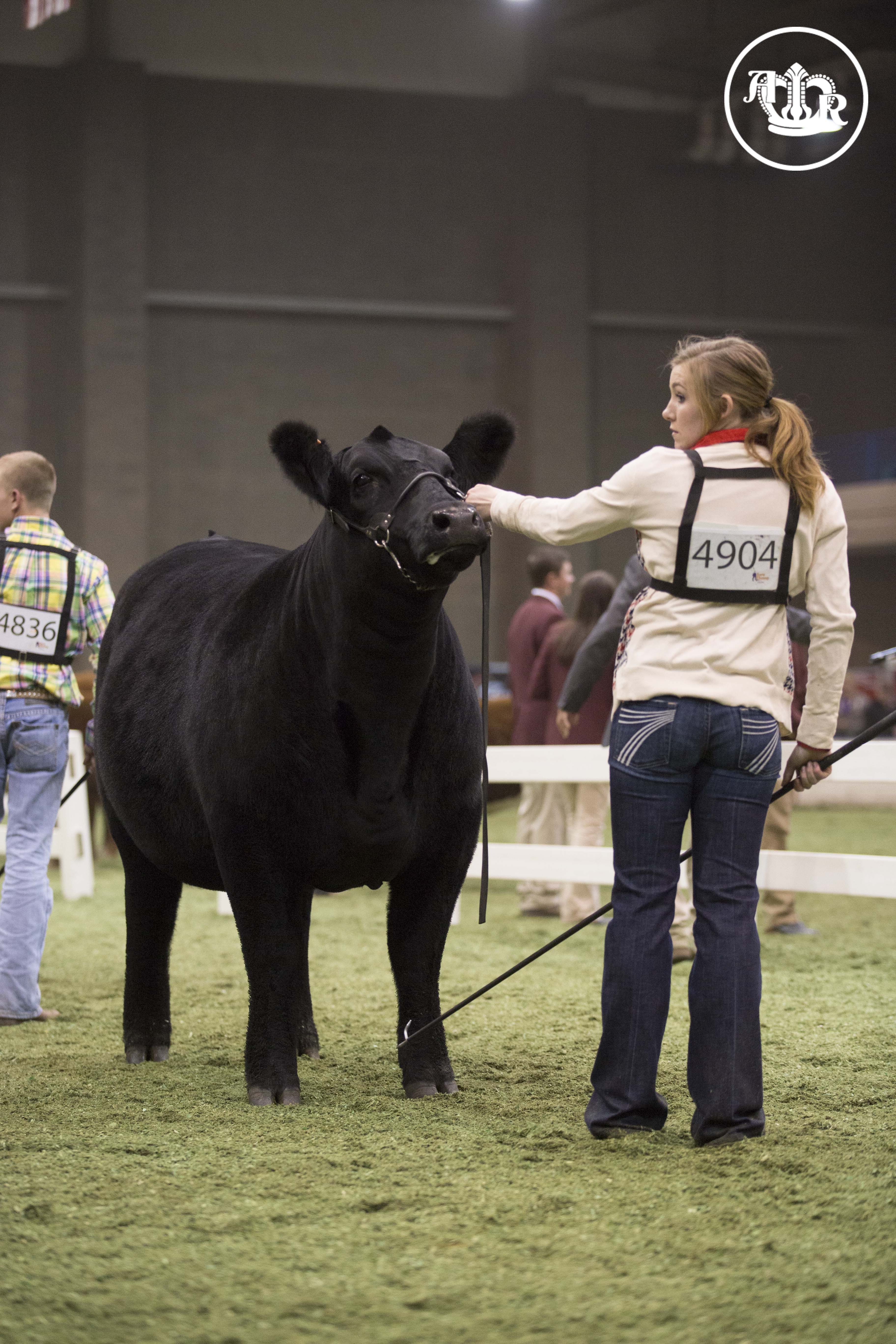 Junior Simmental Show ends the day at the American Royal
