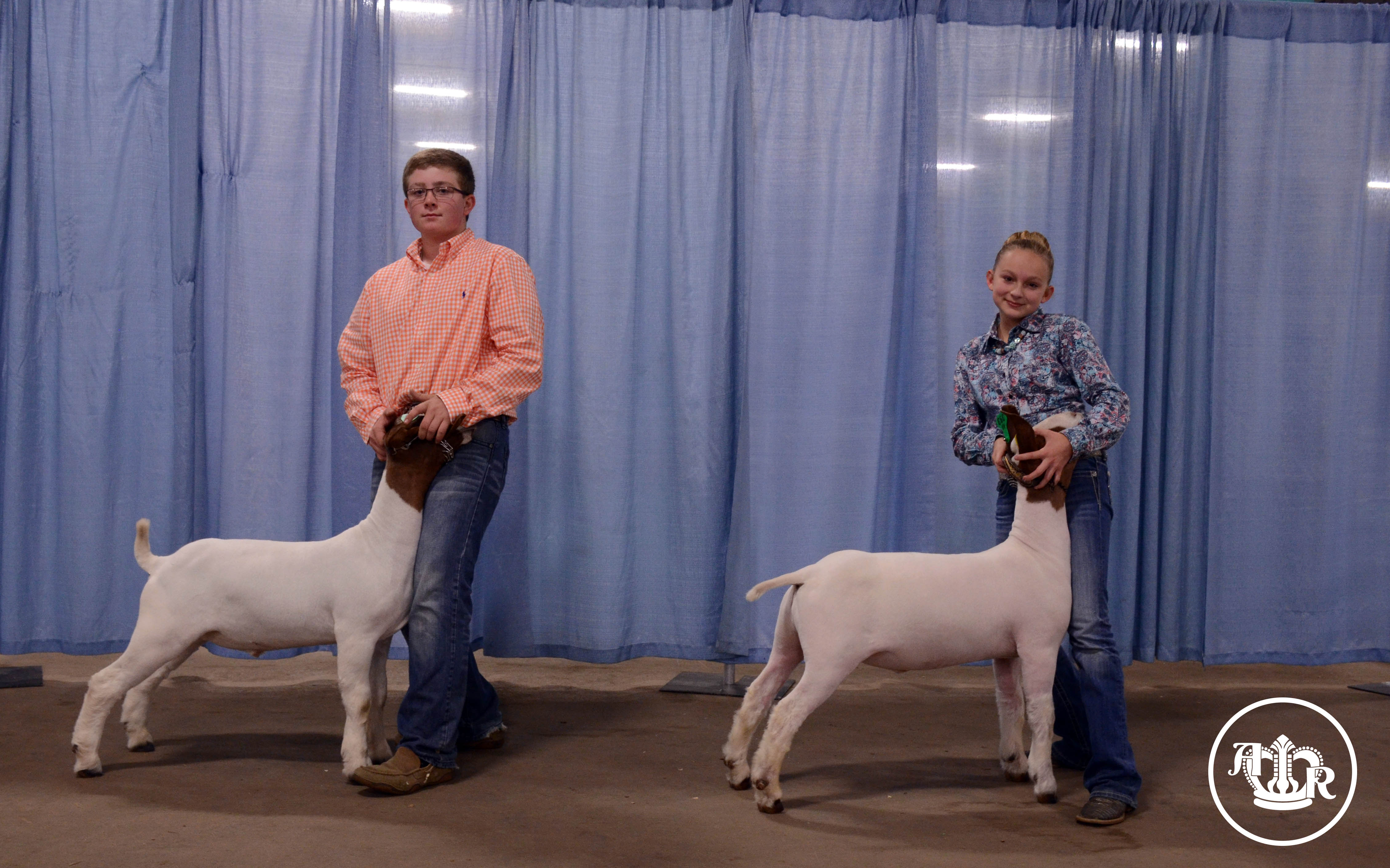 Smith and Pence Named Top Junior Market Goat Showmanship Exhibitors